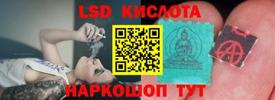 прущие грибы Котовск
