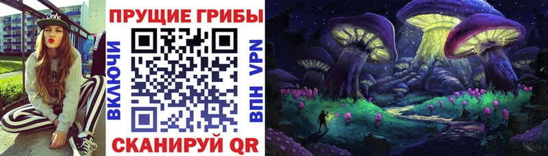 Галлюциногенные грибы GOLDEN TEACHER продажа наркотиков Краснокамск