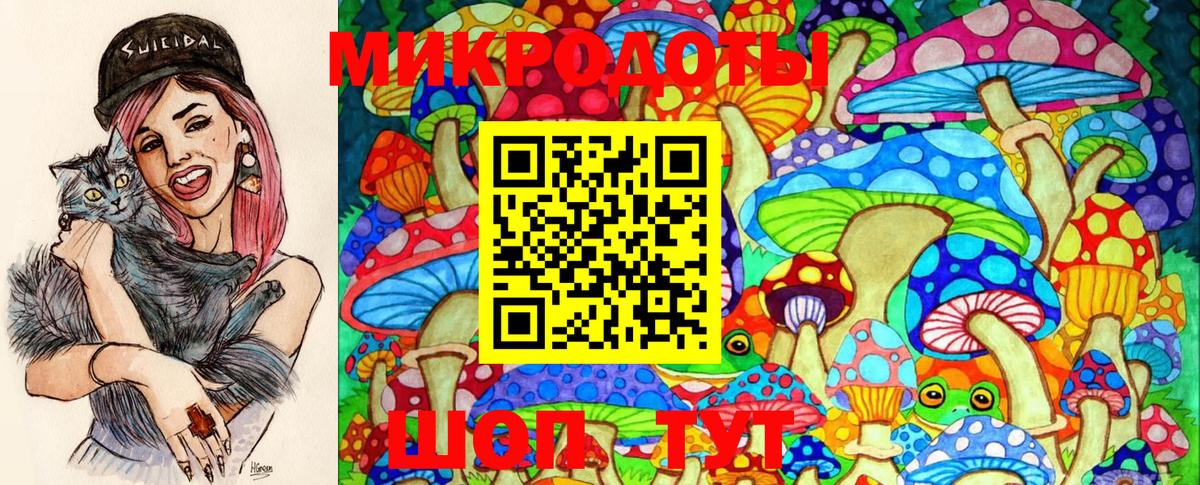 Галлюциногенные грибы Psilocybine cubensis Краснокамск