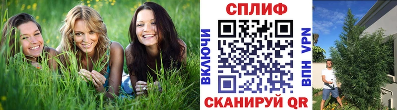 МАРИХУАНА White Widow  как найти закладки  Краснокамск 
